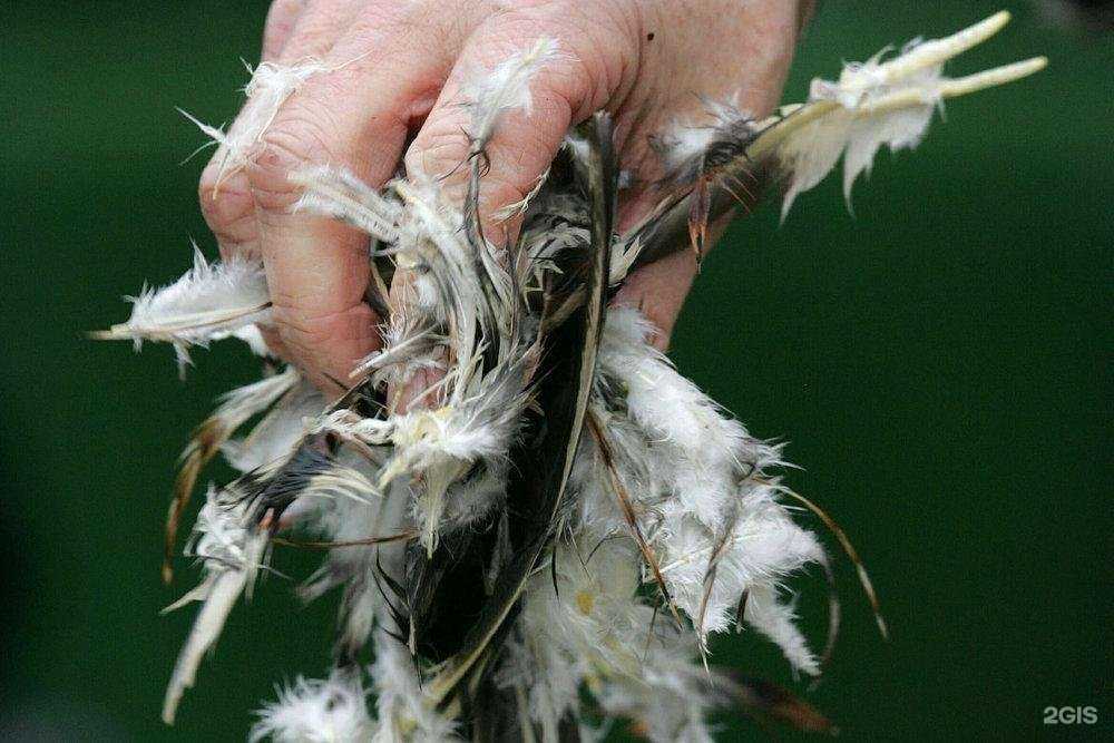 Отзывы на компанию ЕА Систем в Томске c фото