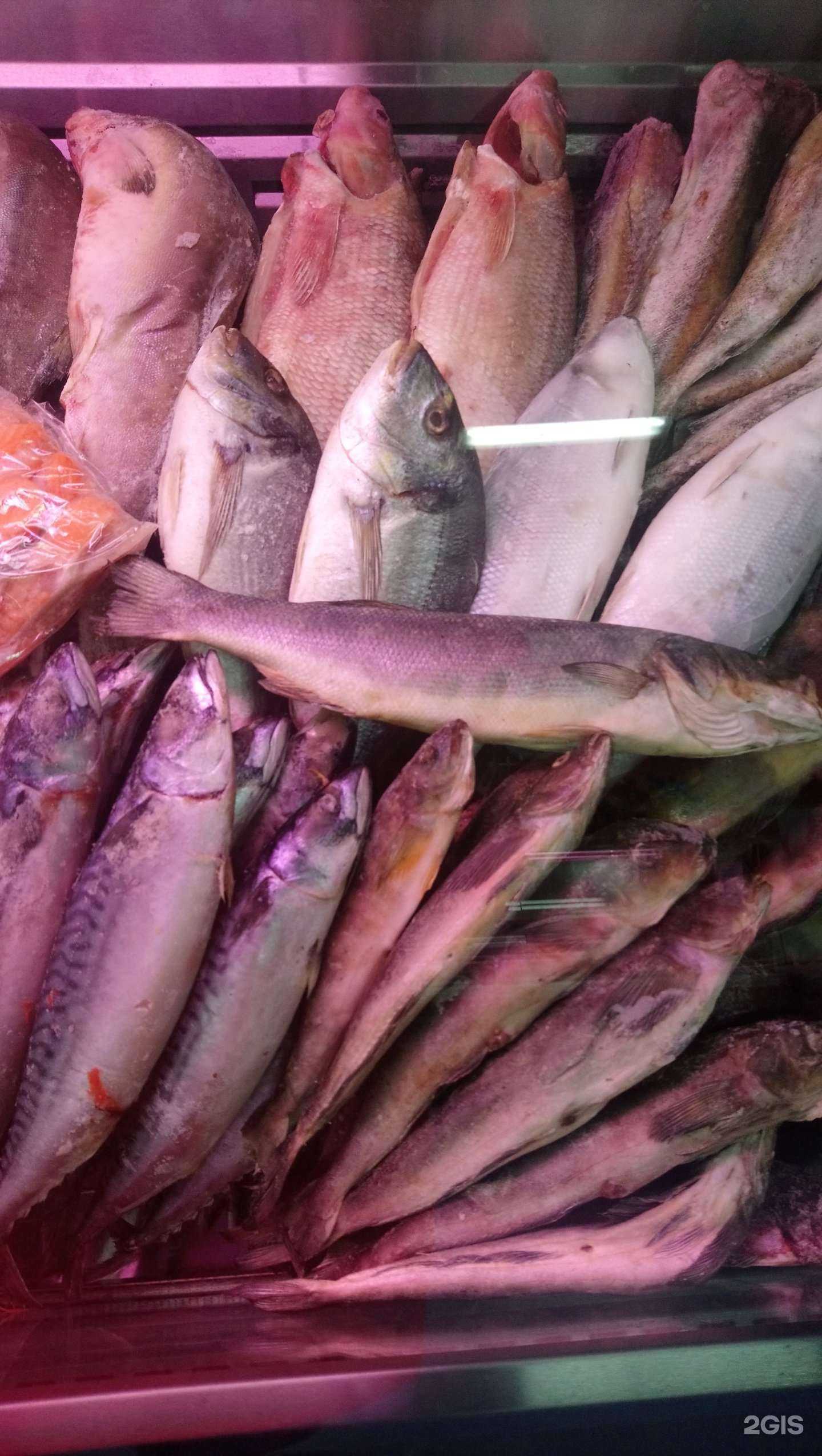 Отзывы на компанию Рыба Моя в Новокузнецке c фото