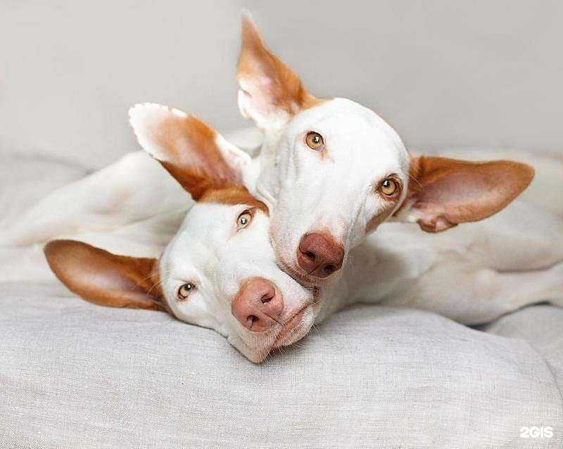 Отзывы на компанию Bab`in в Щёлкове c фото