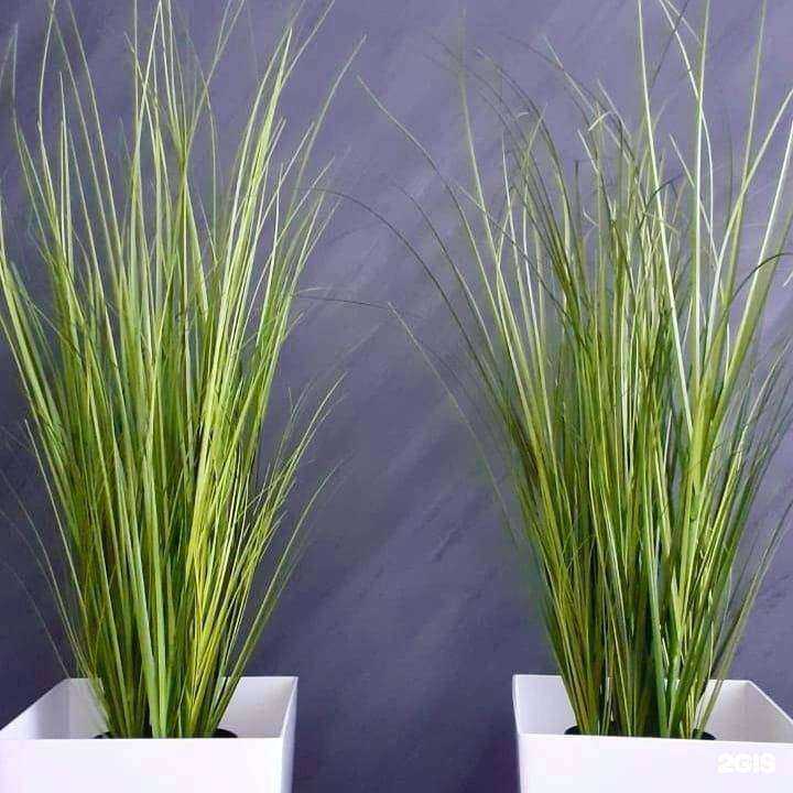 Отзывы на компанию Terraco в Кирове c фото