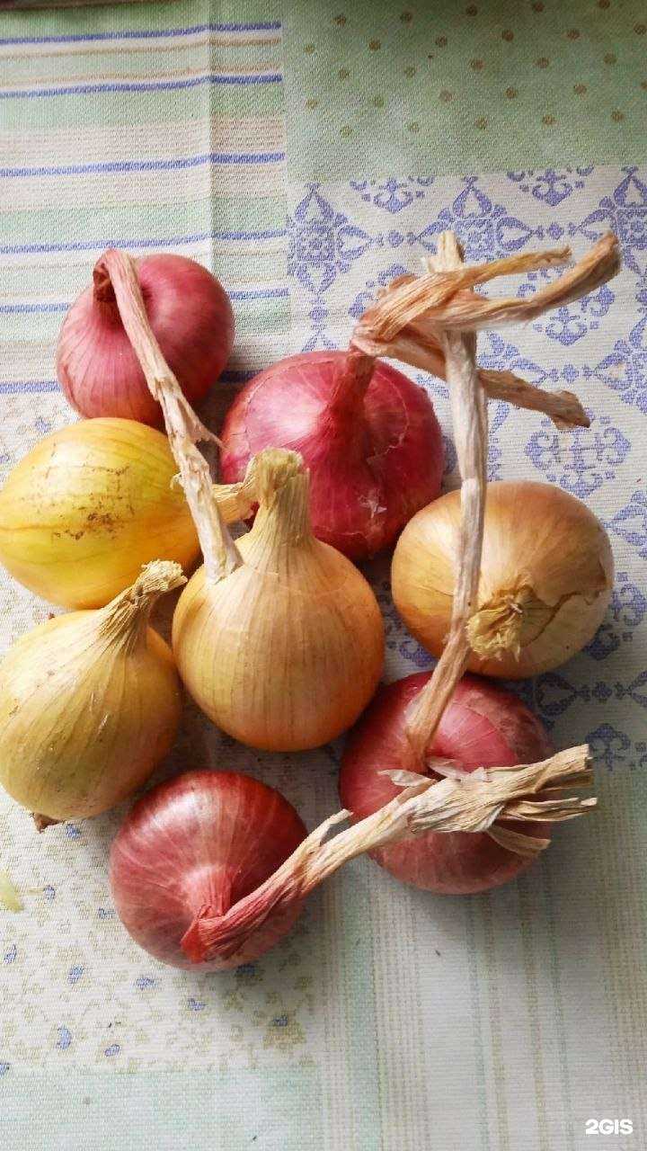 Отзывы на компанию Вятские семена в Кирове c фото