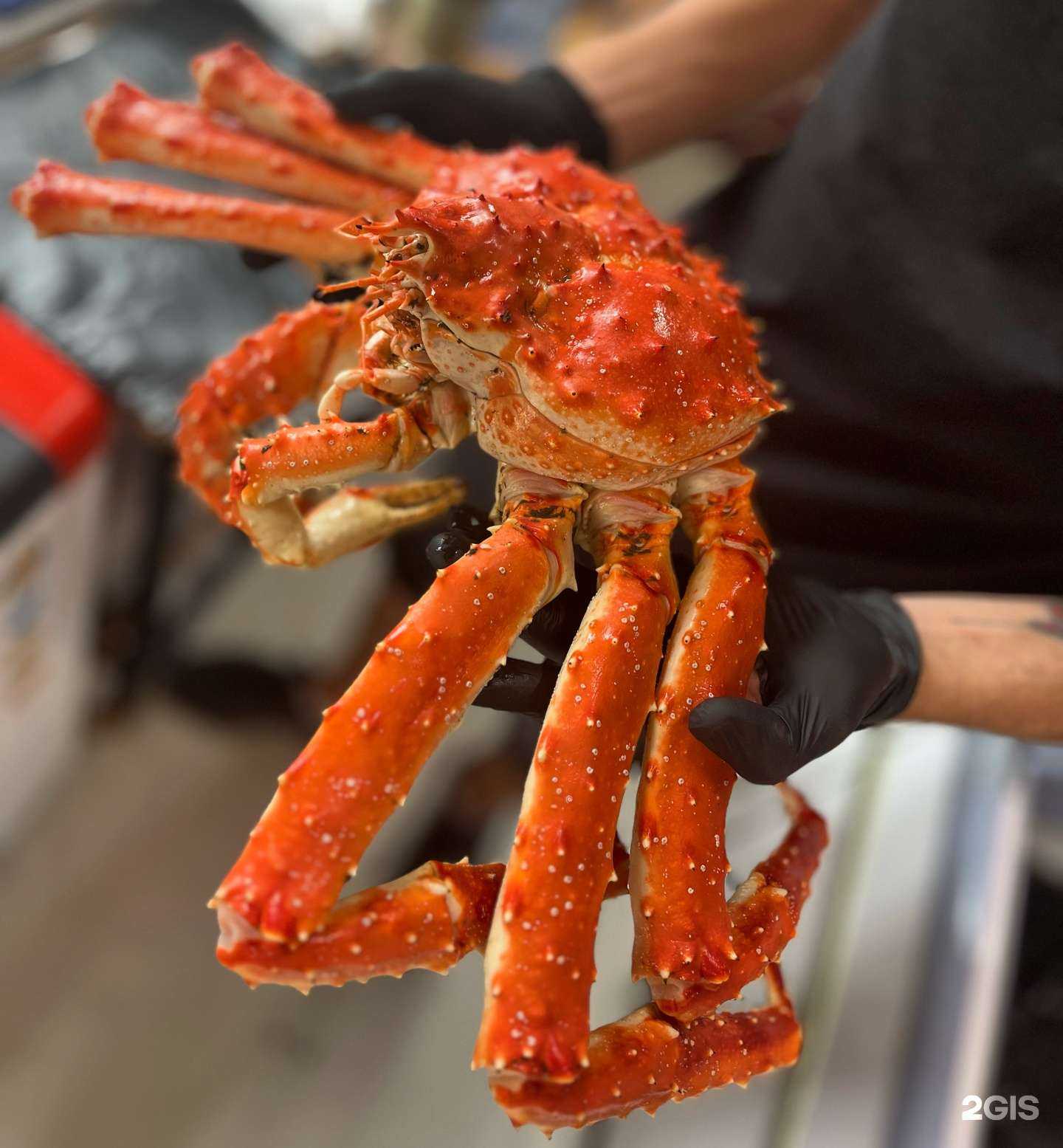 Отзывы на компанию King Crab в Владивостоке c фото