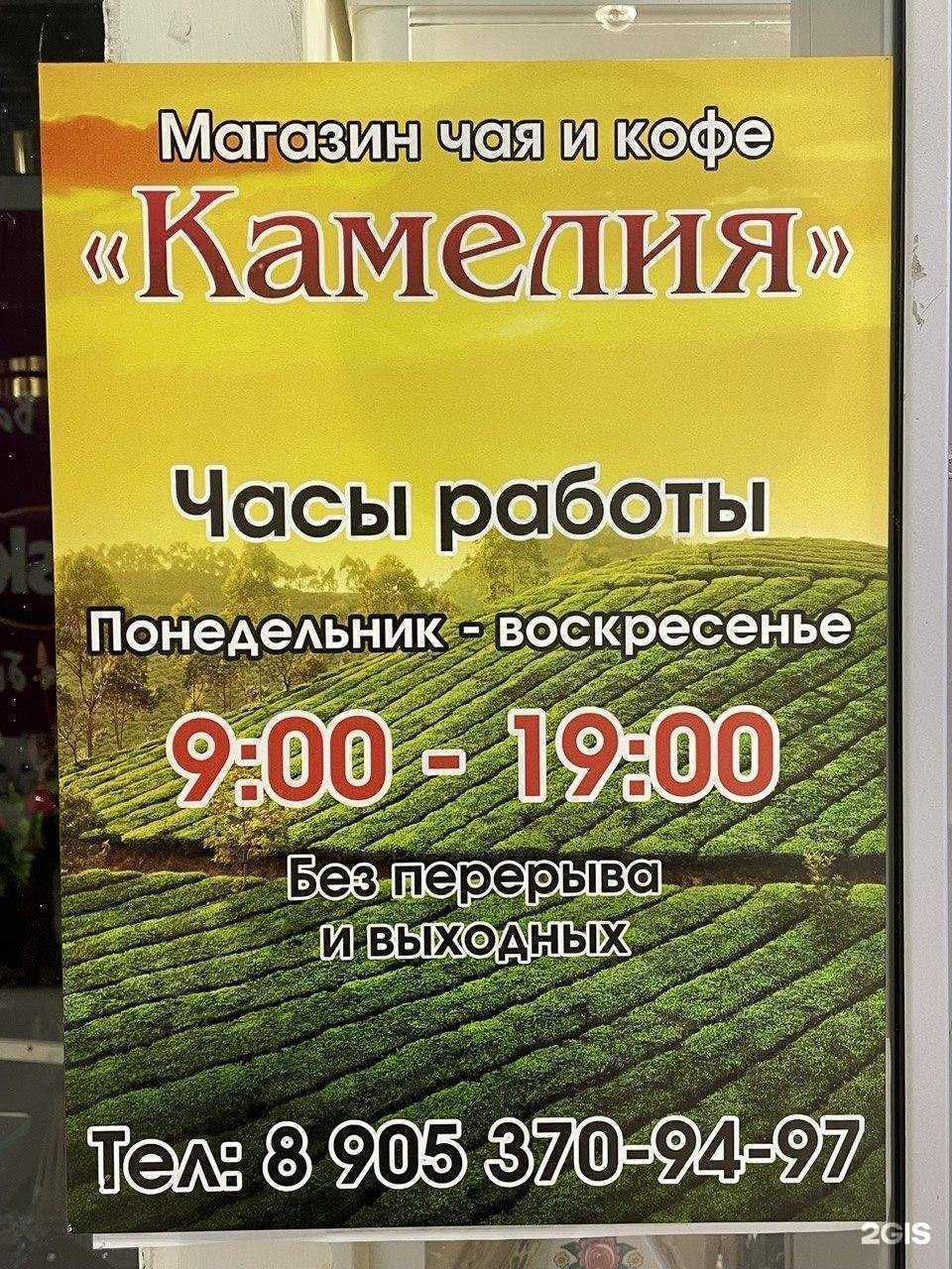 Отзывы на компанию Камелия в г. Набережные Челны c фото