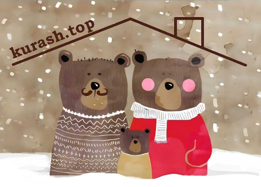 Отзывы на компанию kurash.top в Петропавловске-Камчатском c фото