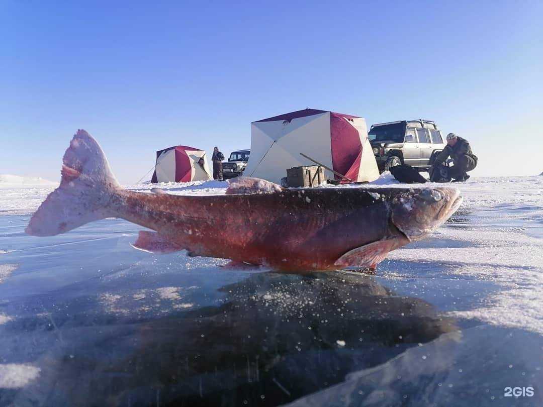 Отзывы на компанию ЯкутияДискавери в Якутске c фото
