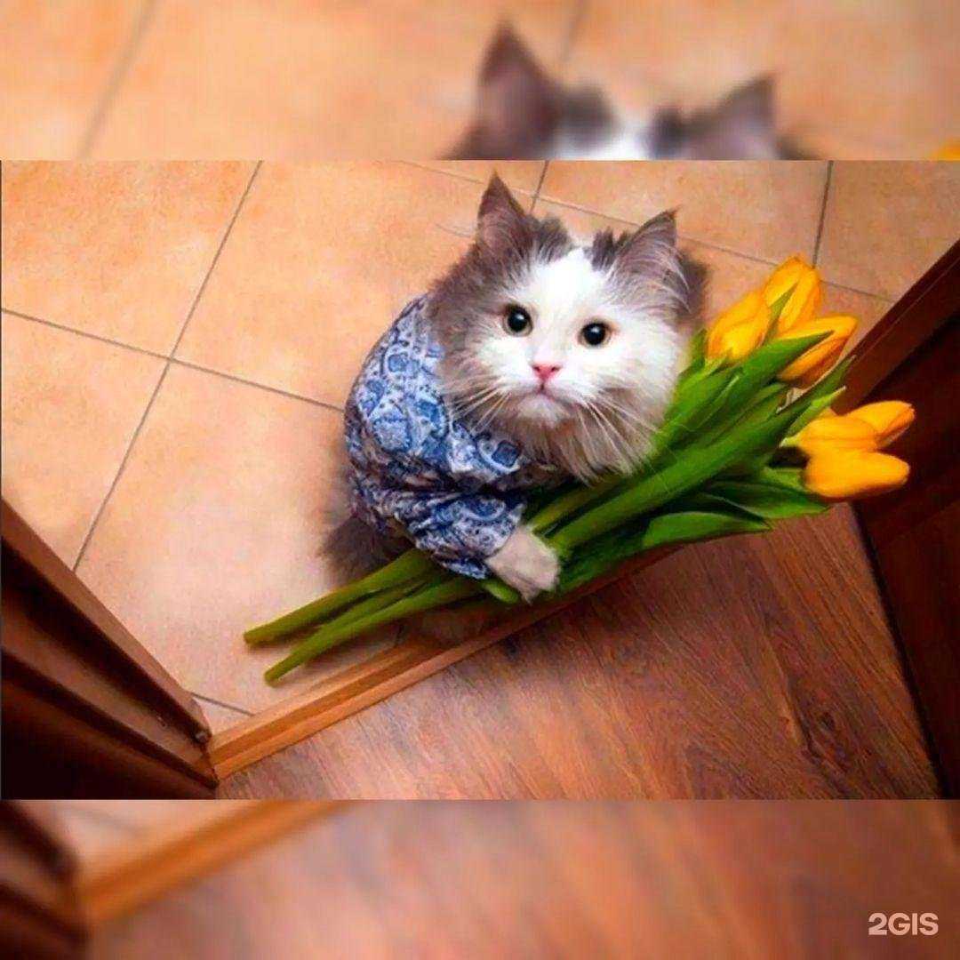 Отзывы на компанию Дверной доктор в г. Нижний Новгород c фото