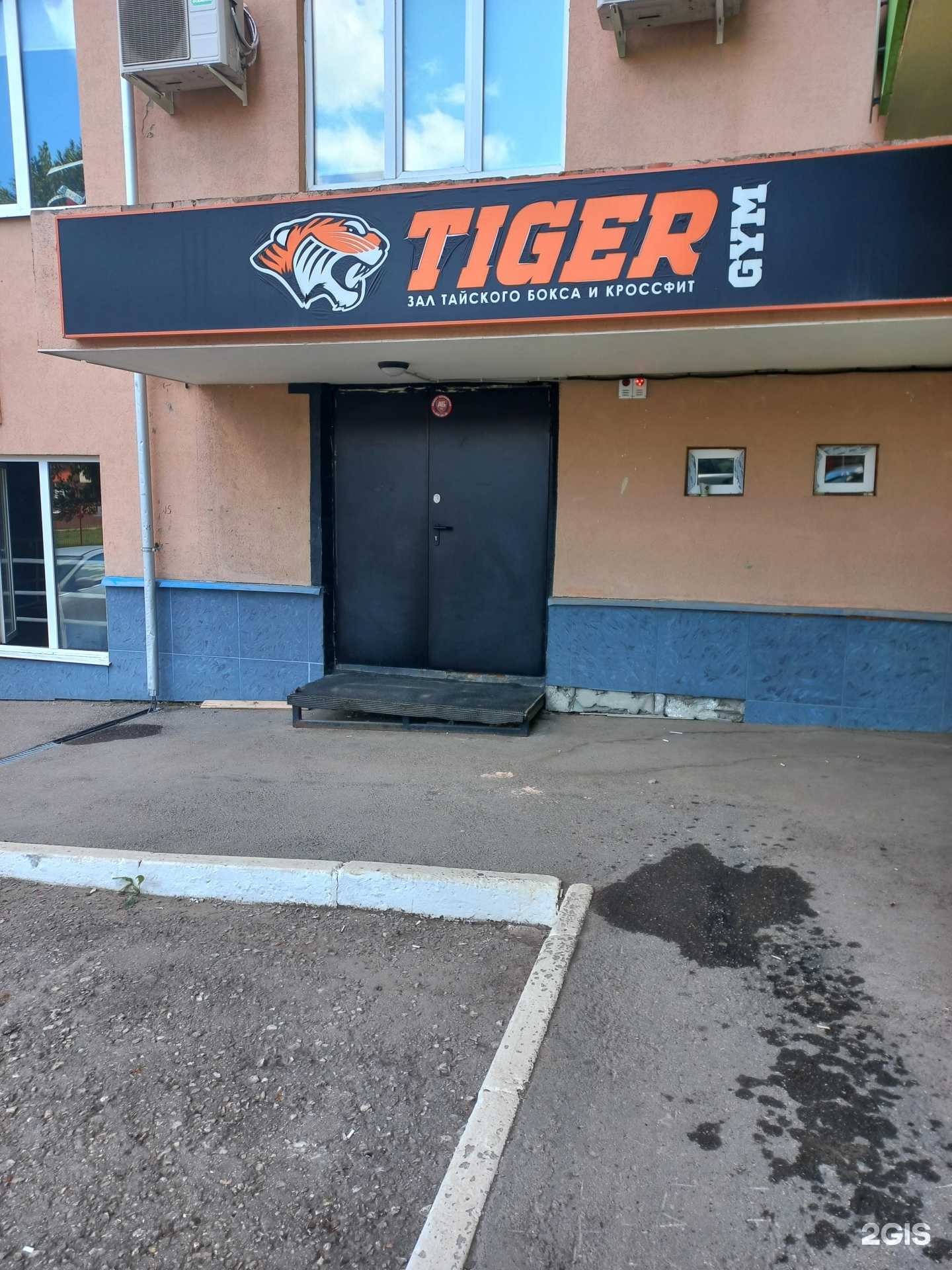 Отзывы на компанию Tiger team в Самаре c фото