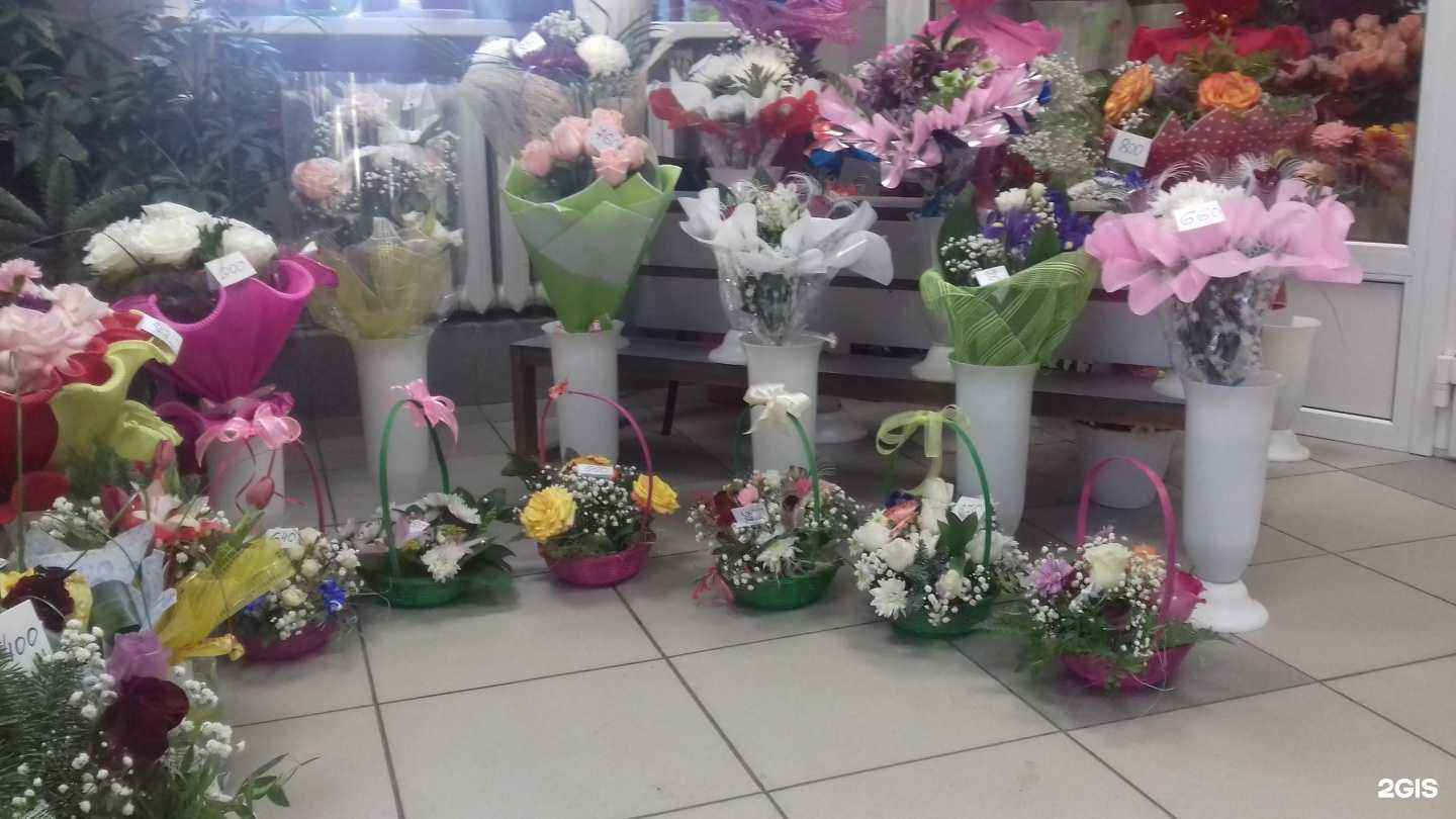 Отзывы на компанию Магнолия в г. Курган c фото