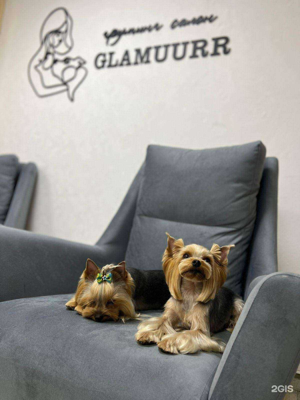 Отзывы на компанию Гламуурр в г. Калтан c фото