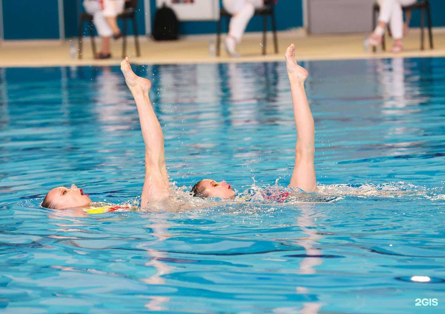 Отзывы на компанию Федерация синхронного плавания Красноярского края в г. Красноярск c фото