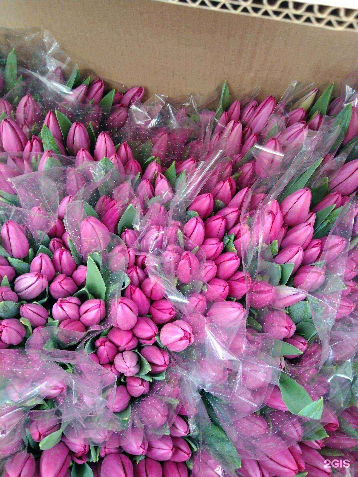 Отзывы на компанию Магазин одежды в г. Альметьевск c фото