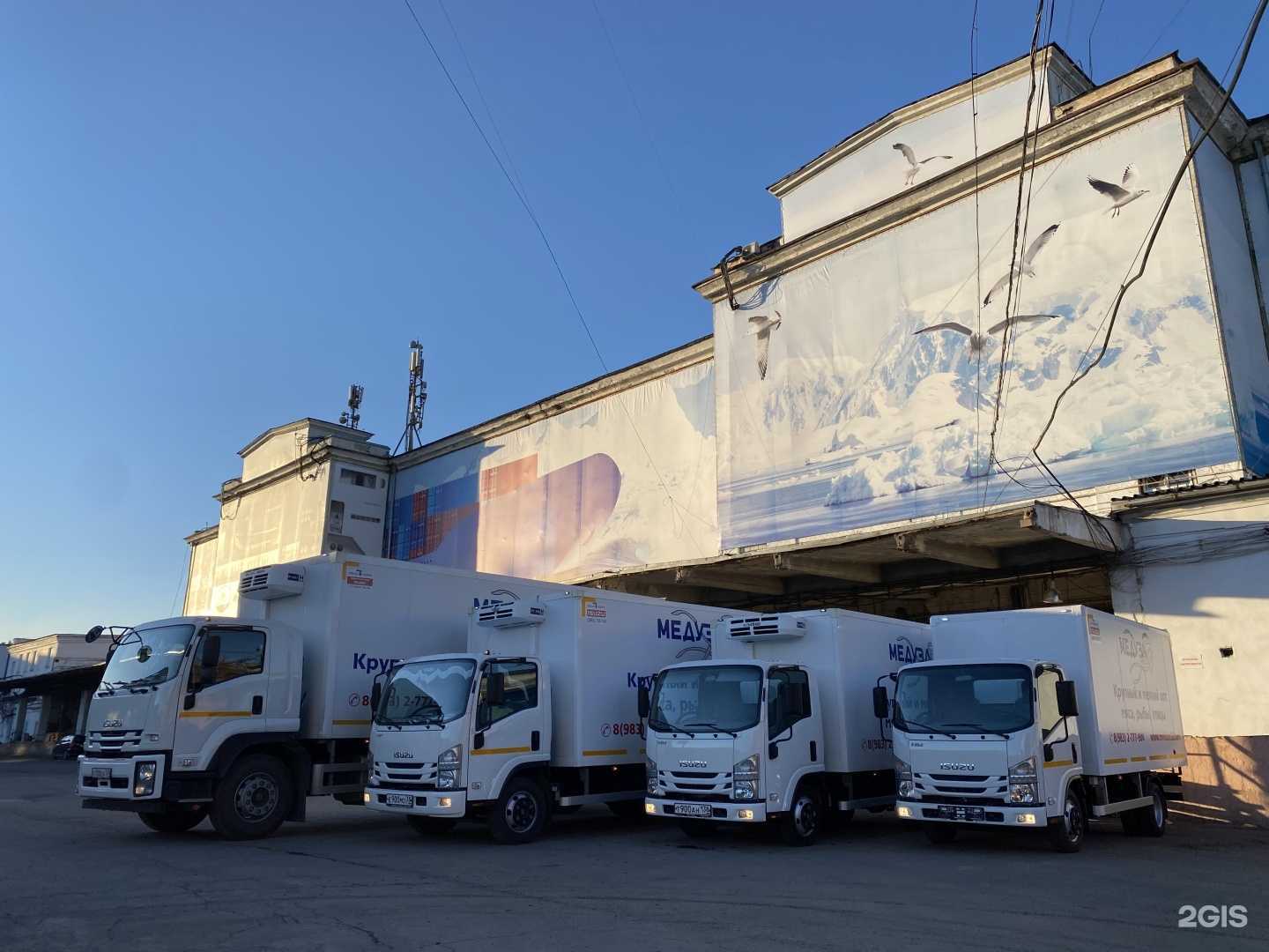 Отзывы на компанию Медуза в Иркутске c фото