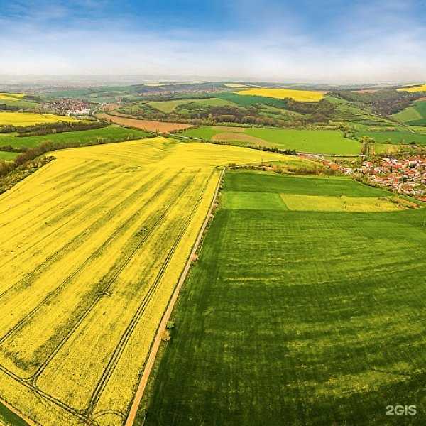Отзывы на компанию ВО Бюро кадастровой оценки и технической инвентаризации в г. Череповец c фото