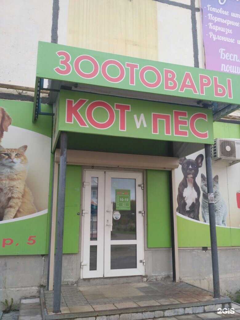 Отзывы на компанию Кот и пес в Сыктывкаре c фото