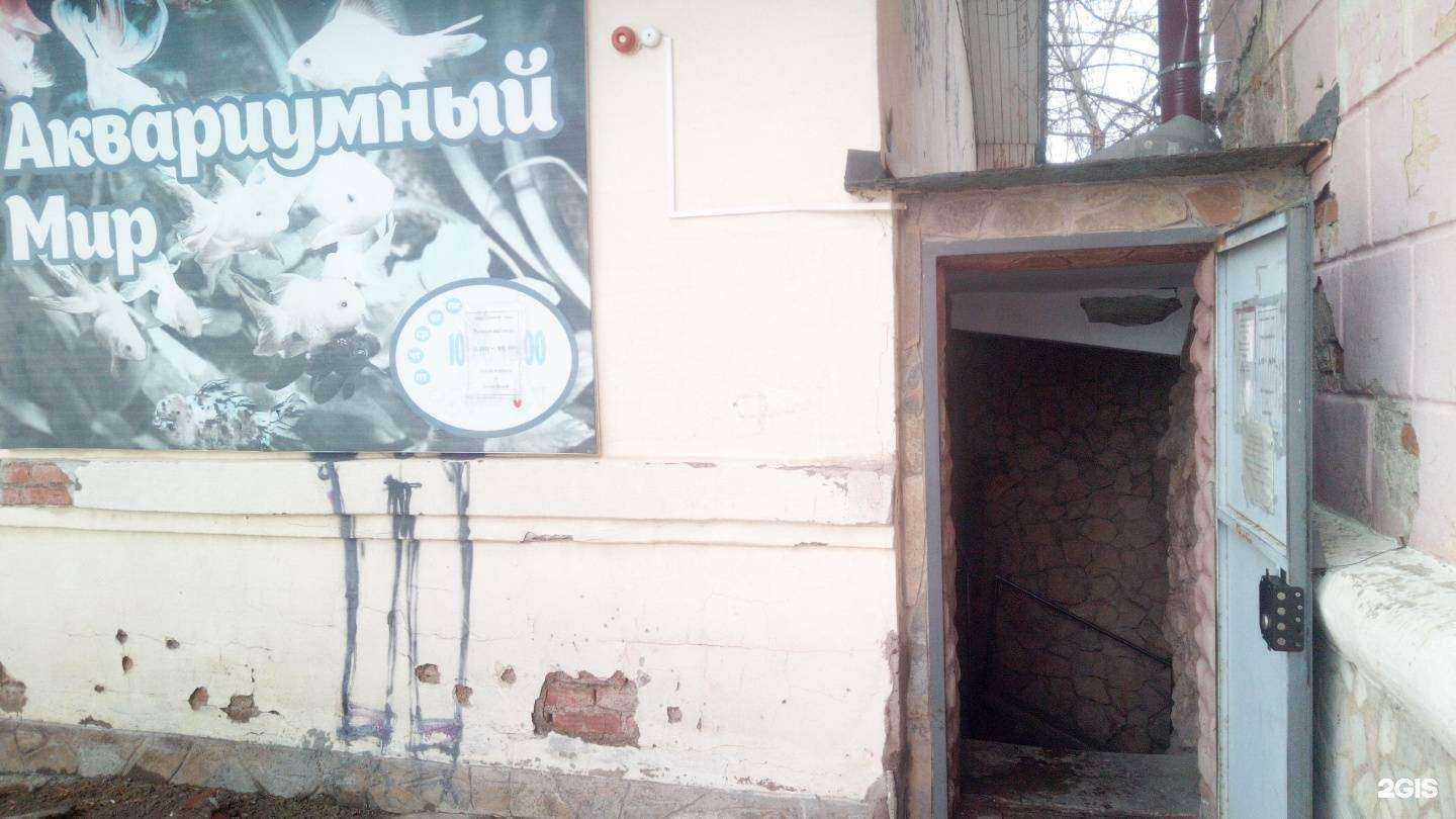 Отзывы на компанию Аквариумный мир в г. Ишимбай c фото