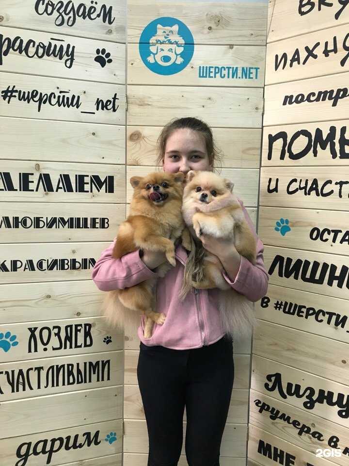 Отзывы на компанию Шерсти.net в Челябинске c фото