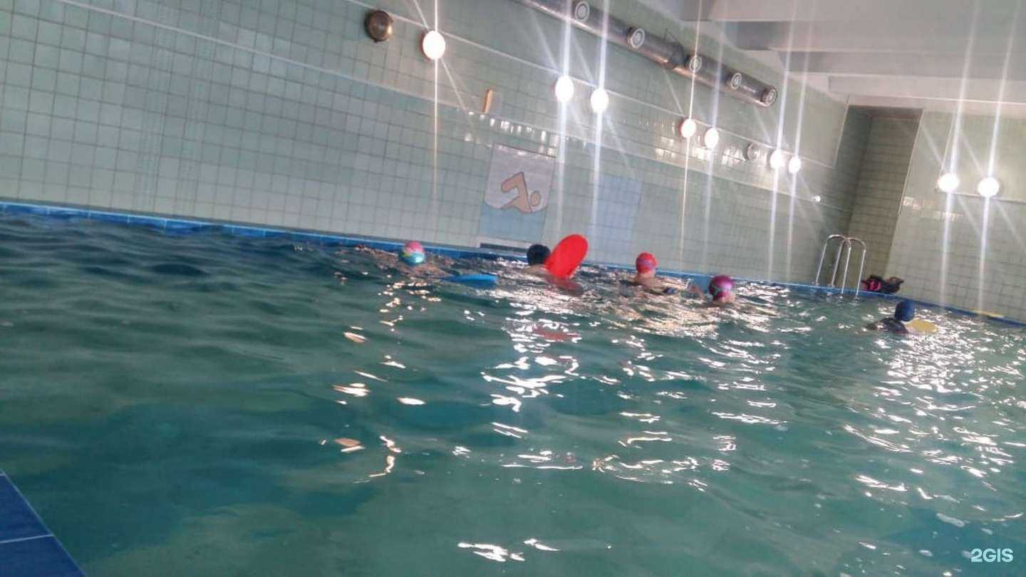 Отзывы на компанию Дельфин в г. Новосибирск c фото