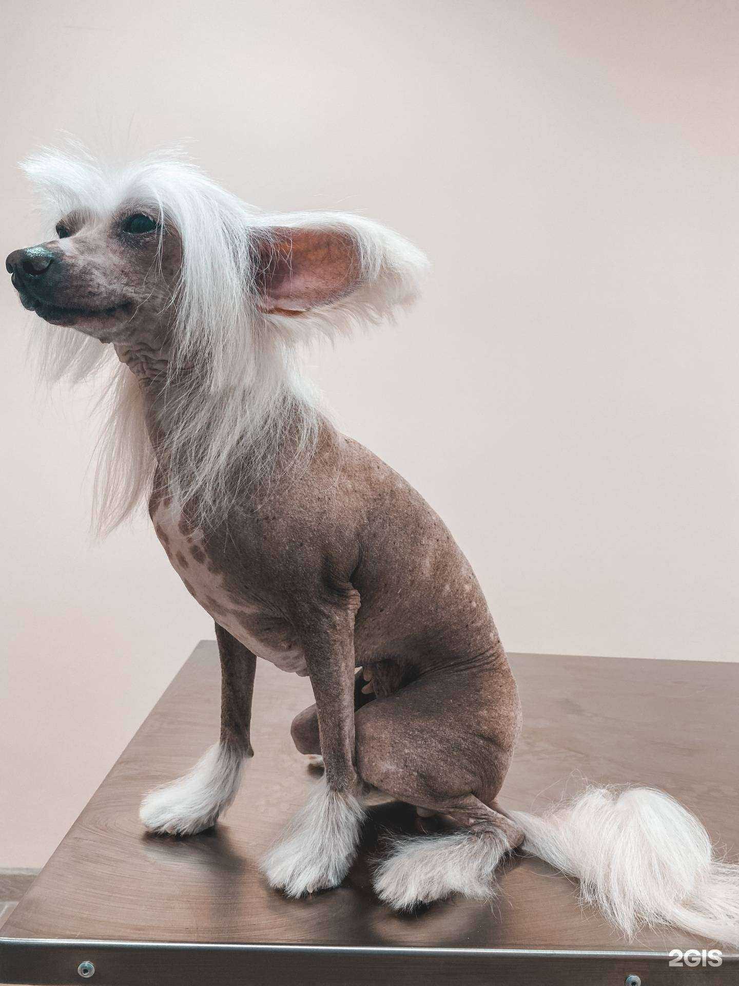 Отзывы на компанию Юмма в г. Тюмень c фото