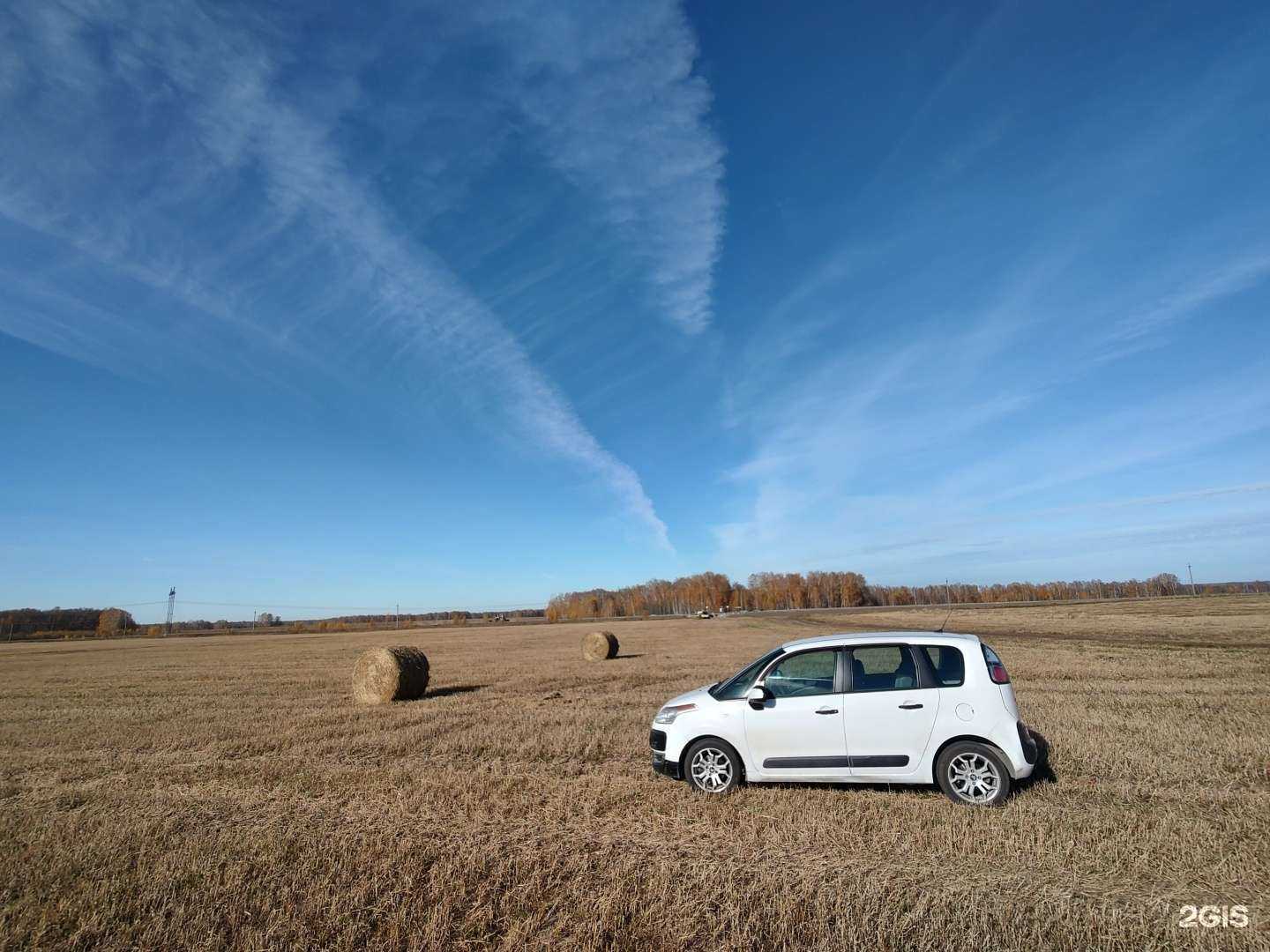 Отзывы на компанию Авто-Франция в Новосибирске c фото