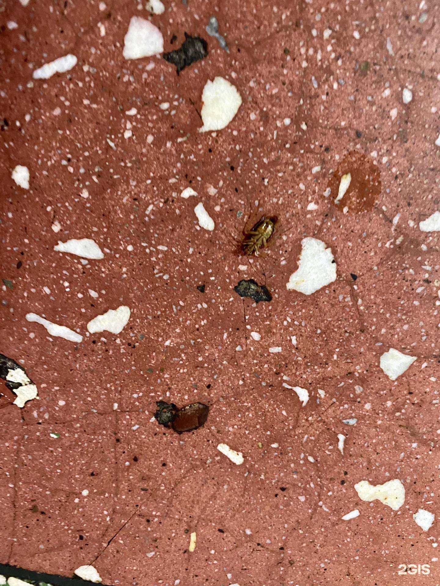 Отзывы на компанию Смак в Мелеузе c фото