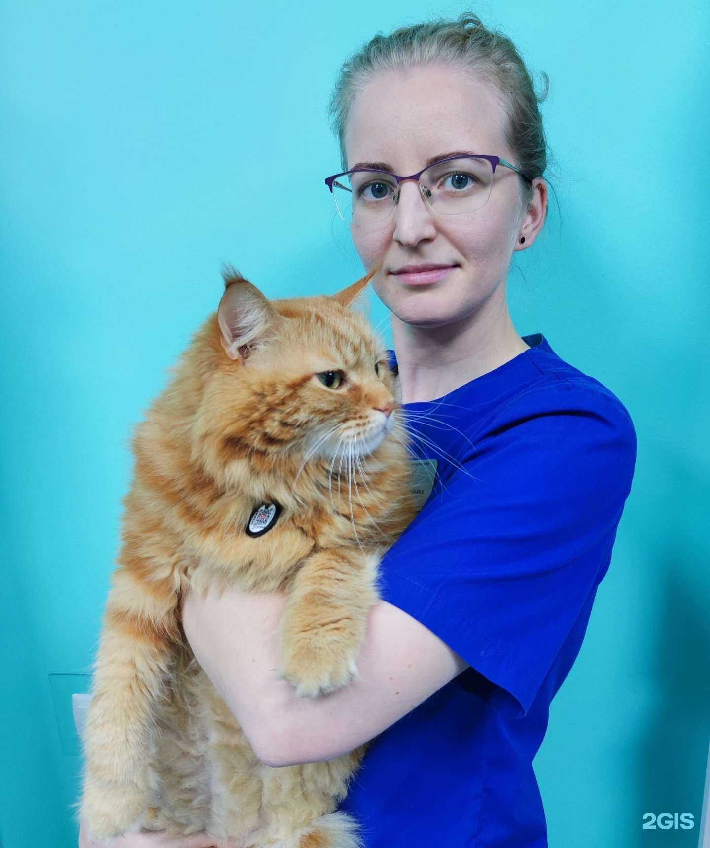 Отзывы на компанию Ле мурр в Краснодаре c фото