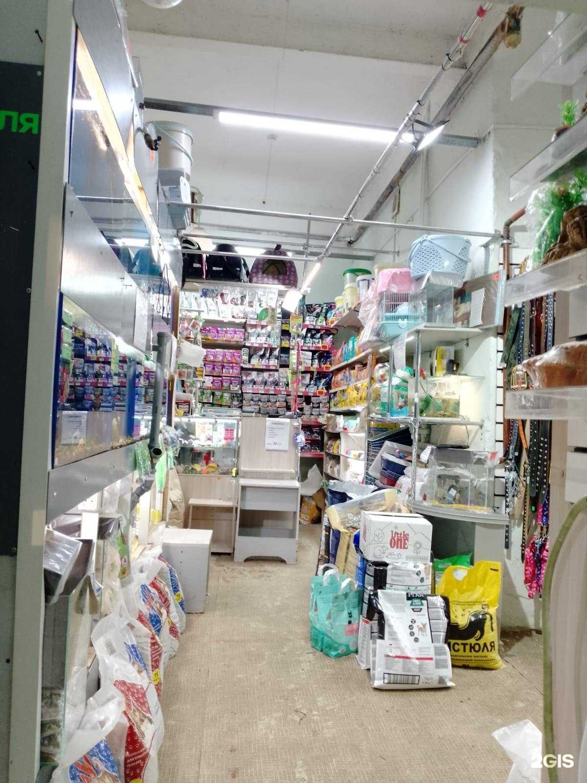 Отзывы на компанию Пиранья в Стерлитамаке c фото