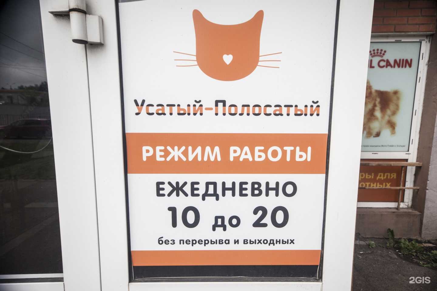 Отзывы на компанию Усатый-полосатый в г. Тула c фото