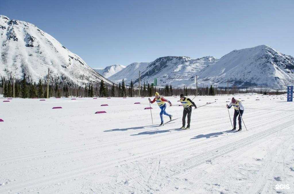 Отзывы на компанию Тирвас в г. Кировск c фото