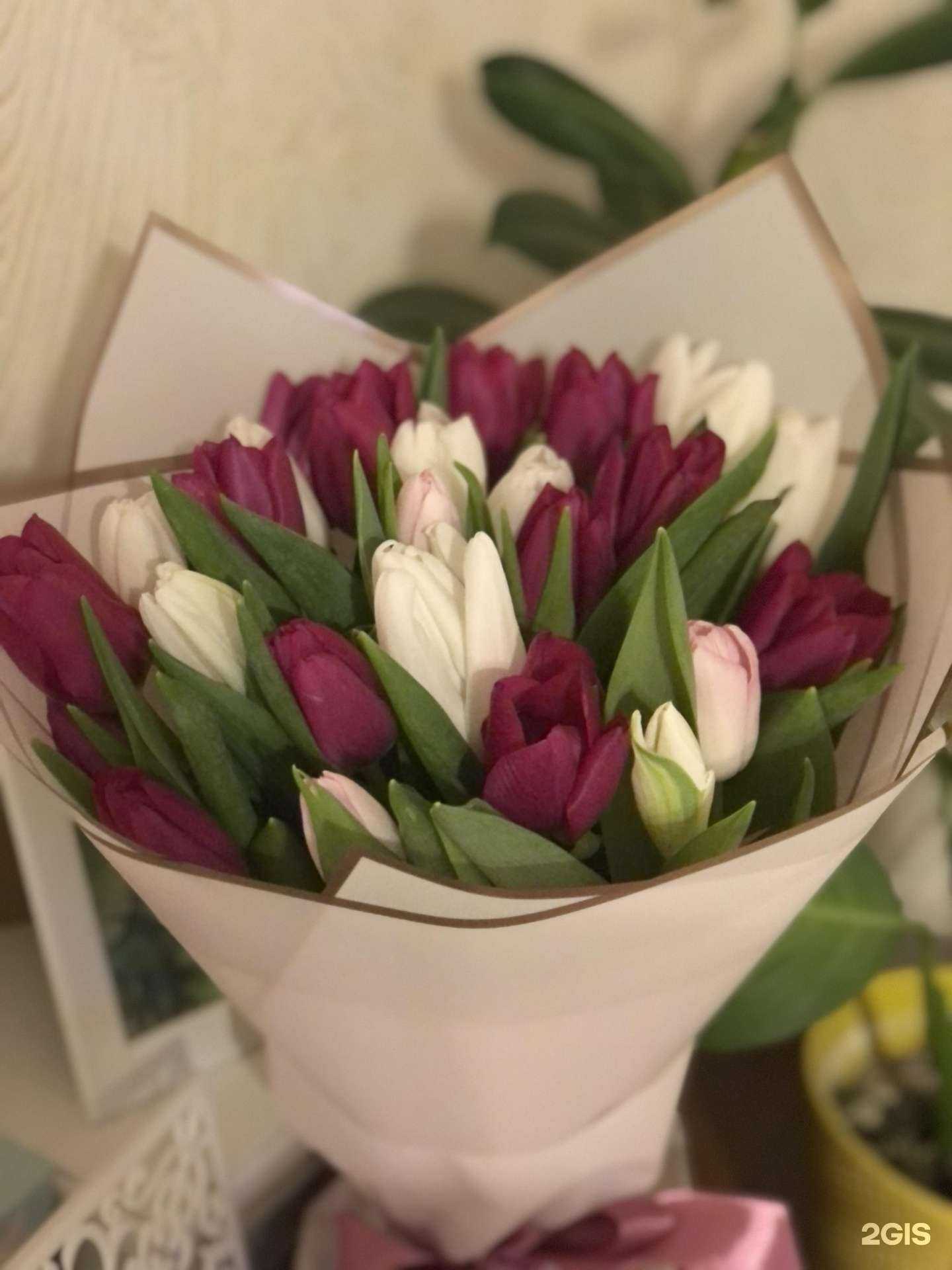 Отзывы на компанию РУСКУС в Нижнекамске c фото