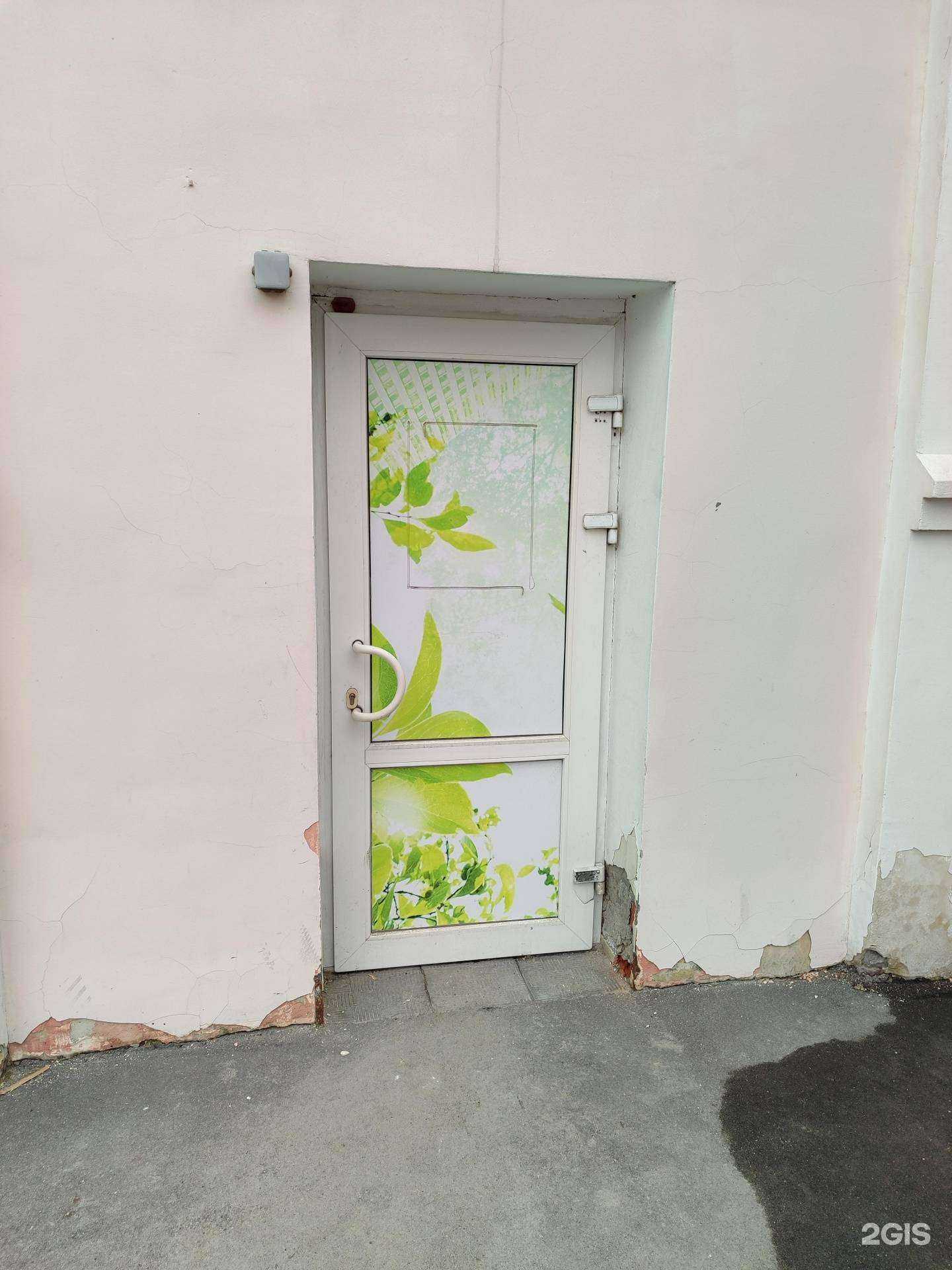 Отзывы на компанию Зелёная собака в г. Тюмень c фото