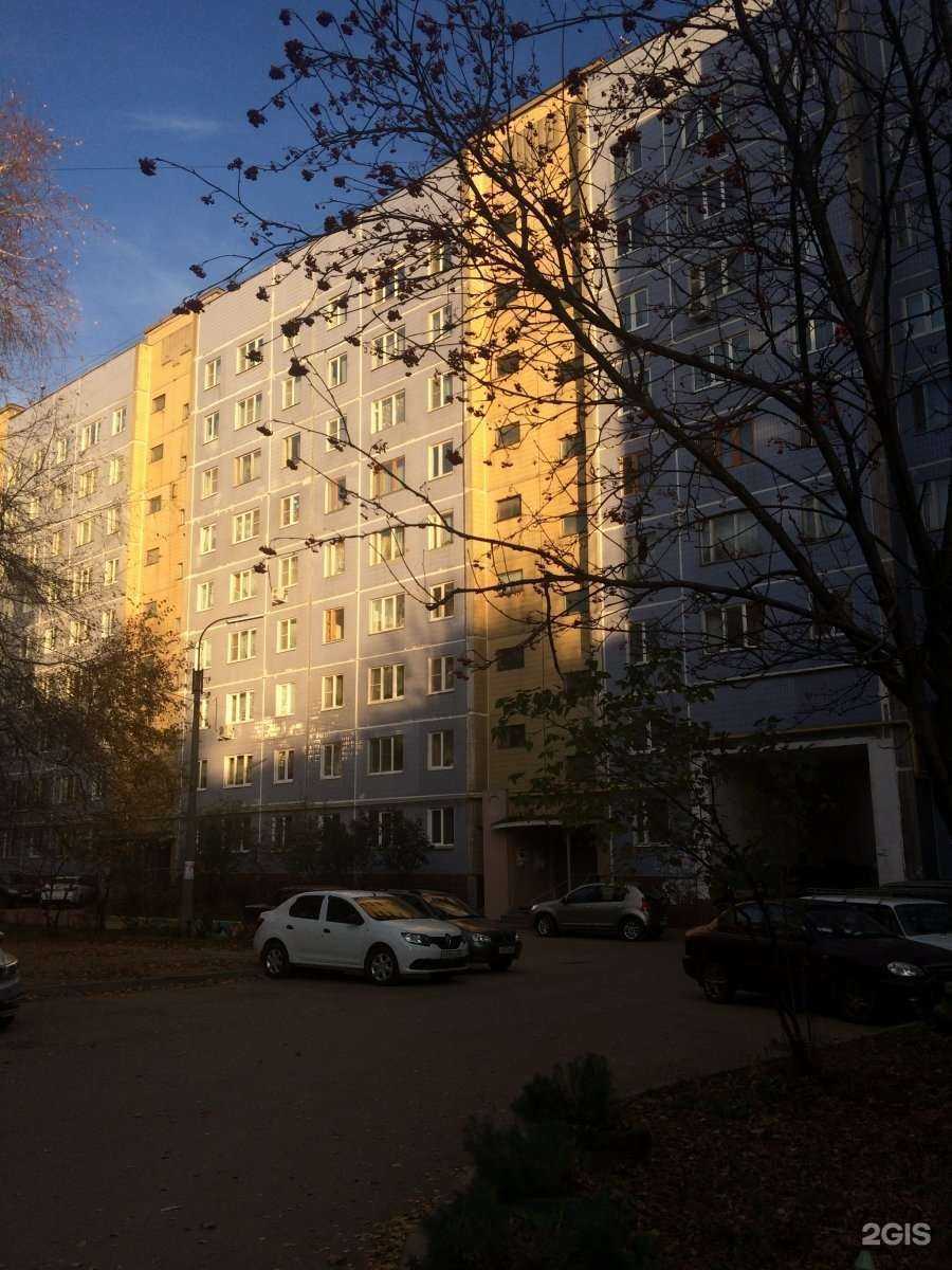 Отзывы на компанию Plush Boom в Рязани c фото - фотография 2 из 2