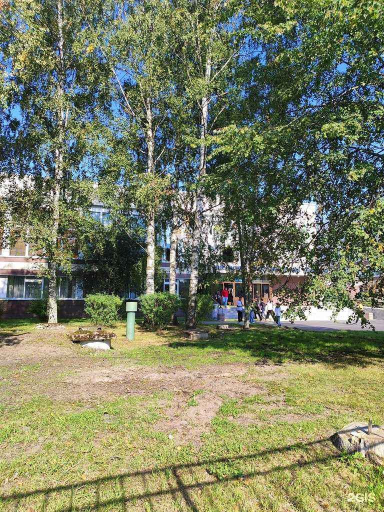 Отзывы на компанию Topgun в г. Кировск c фото