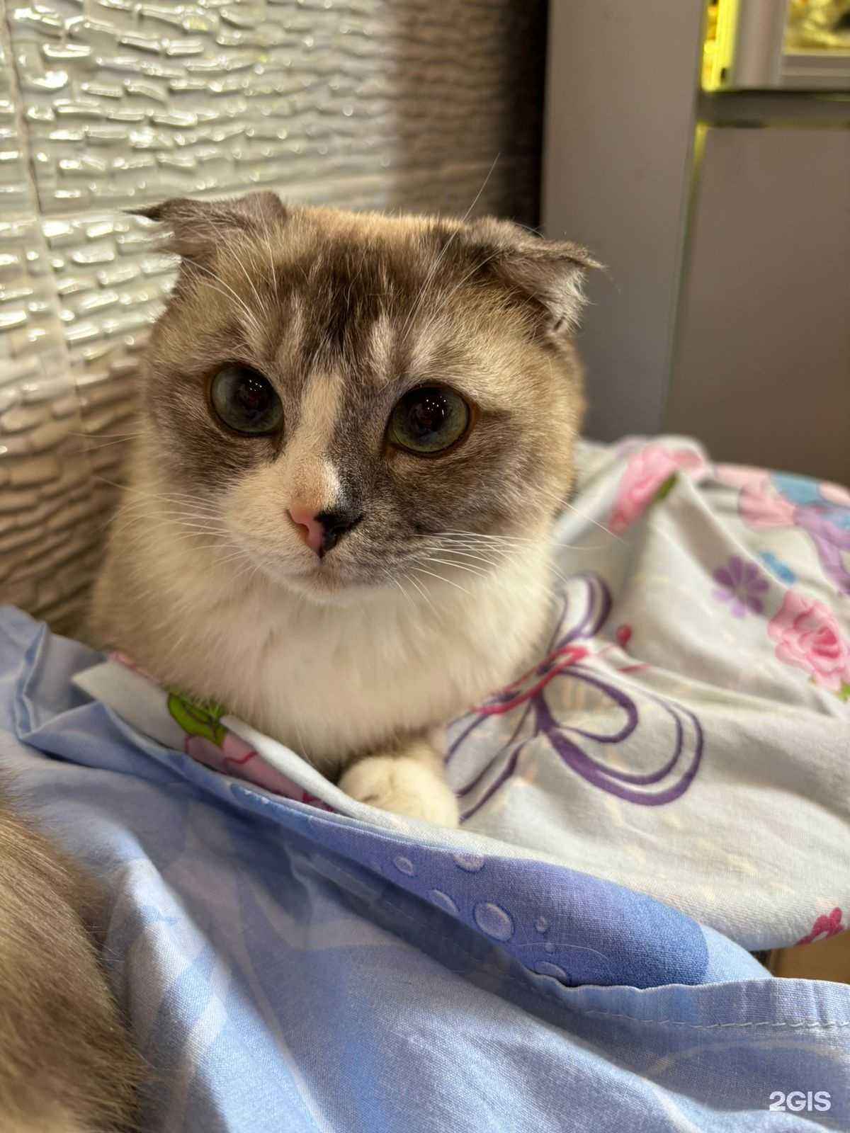 Отзывы на компанию Ветеринарный кабинет в г. Нижневартовск c фото