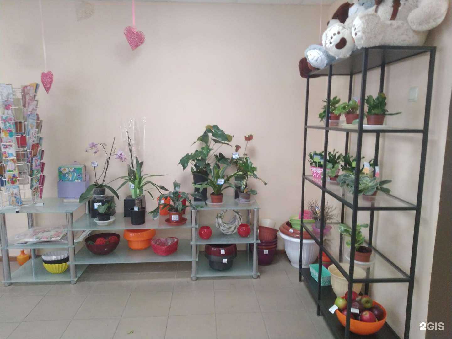 Отзывы на компанию Ваш букет в Сызрани c фото