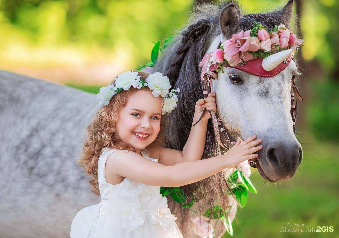 Отзывы на компанию Сокол в Артёме c фото