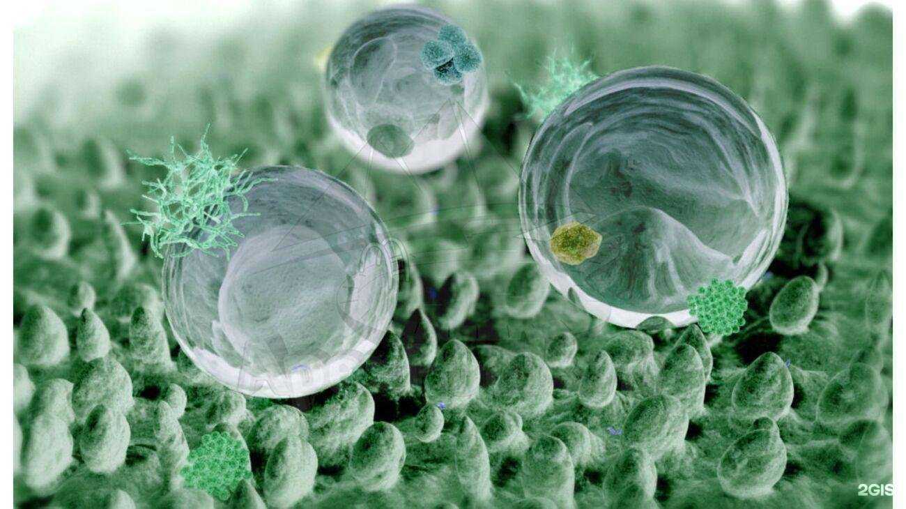 Отзывы на компанию Апекс пулс в Перми c фото