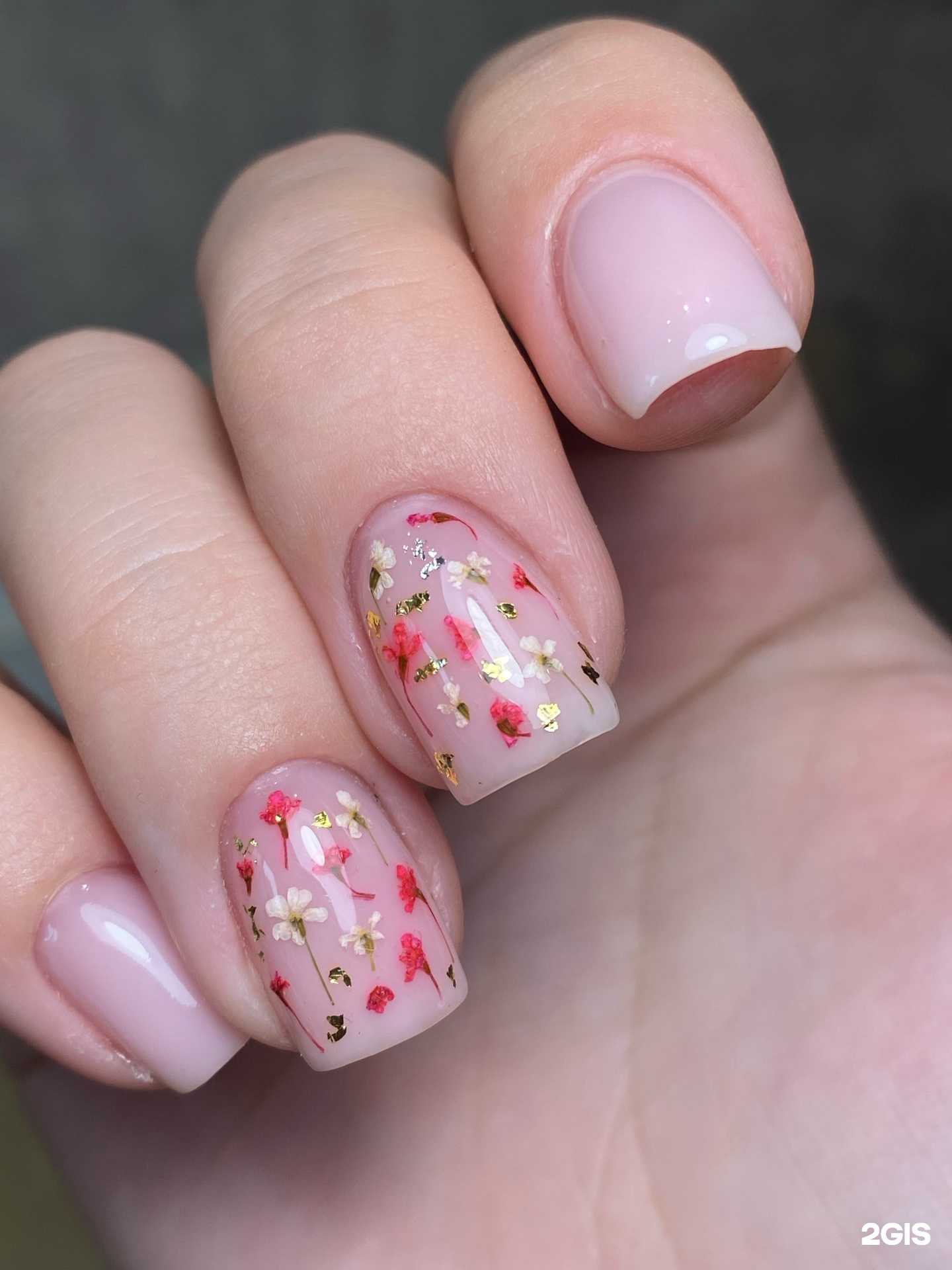 Отзывы на компанию Заречный в Новосибирске c фото