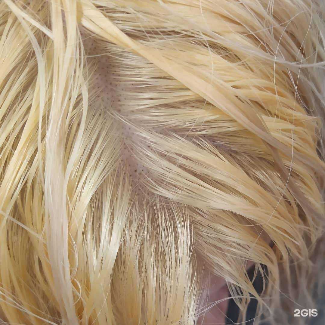 Отзывы на компанию Персона в г. Новороссийск c фото