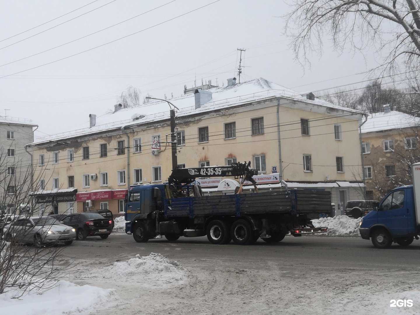 Отзывы на компанию Хвостатый друг в Кирове c фото - фотография 2 из 2