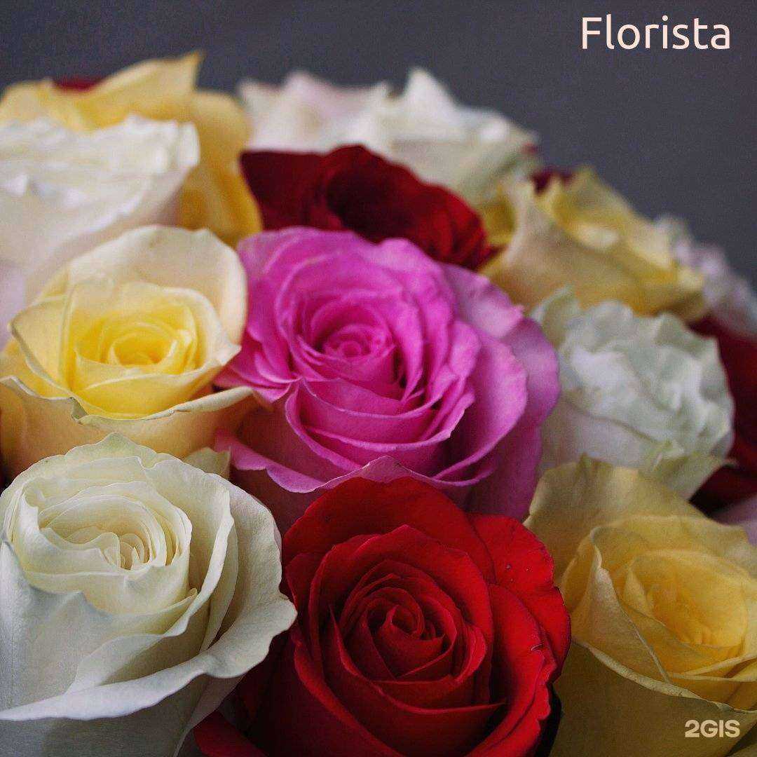 Отзывы на компанию Florista в г. Томск c фото