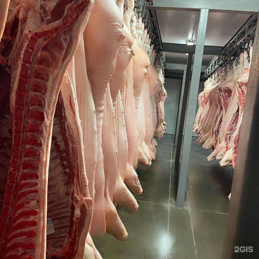 Отзывы на компанию Строгоновъ в г. Оренбург c фото