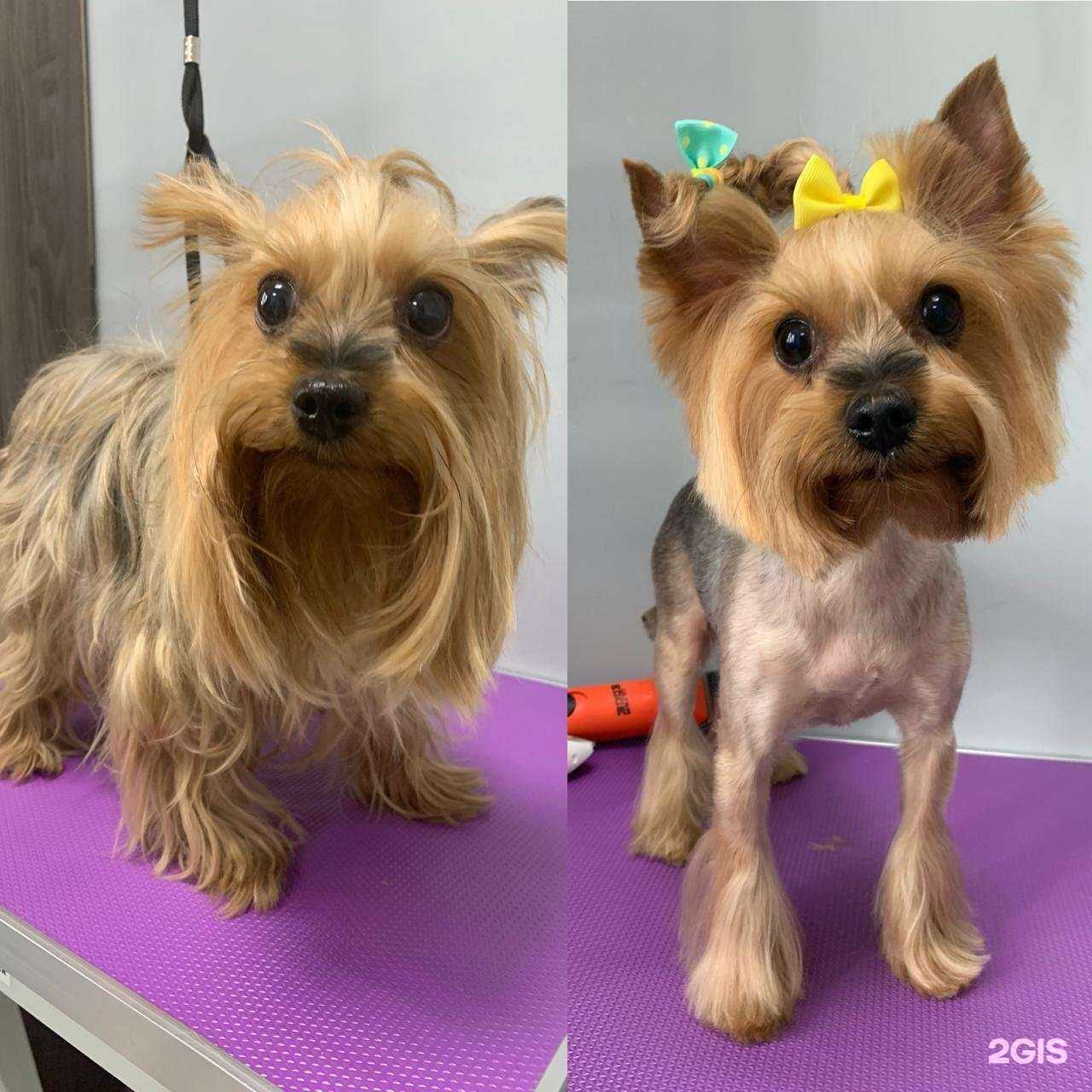 Отзывы на компанию Laguf в Люберцах c фото