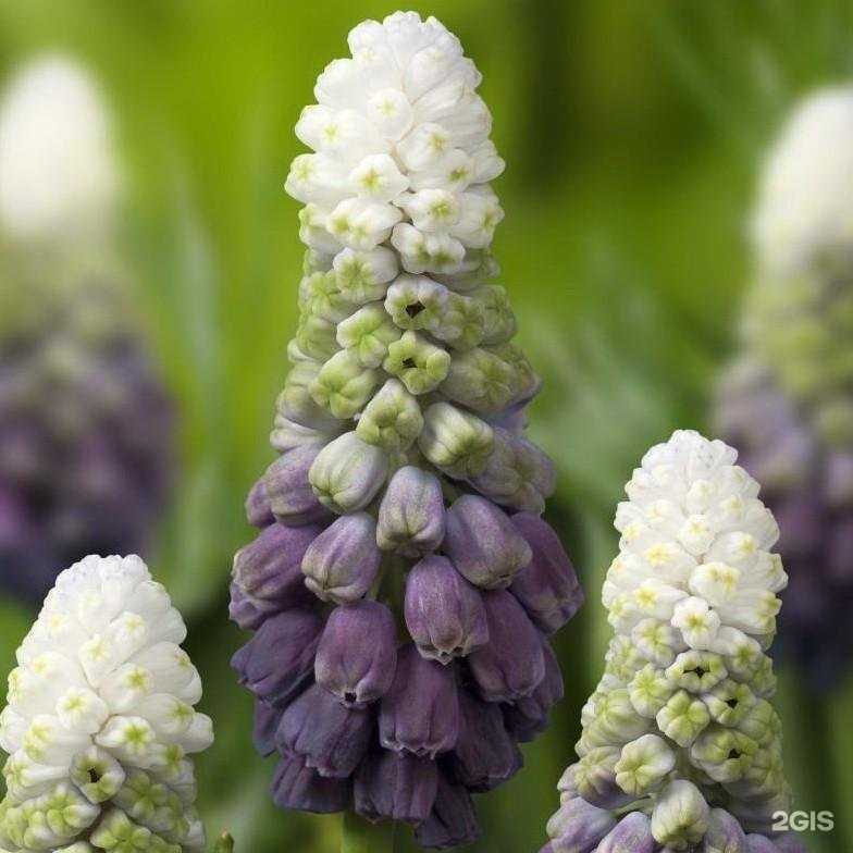 Отзывы на компанию Природа и быт в Егорьевске c фото