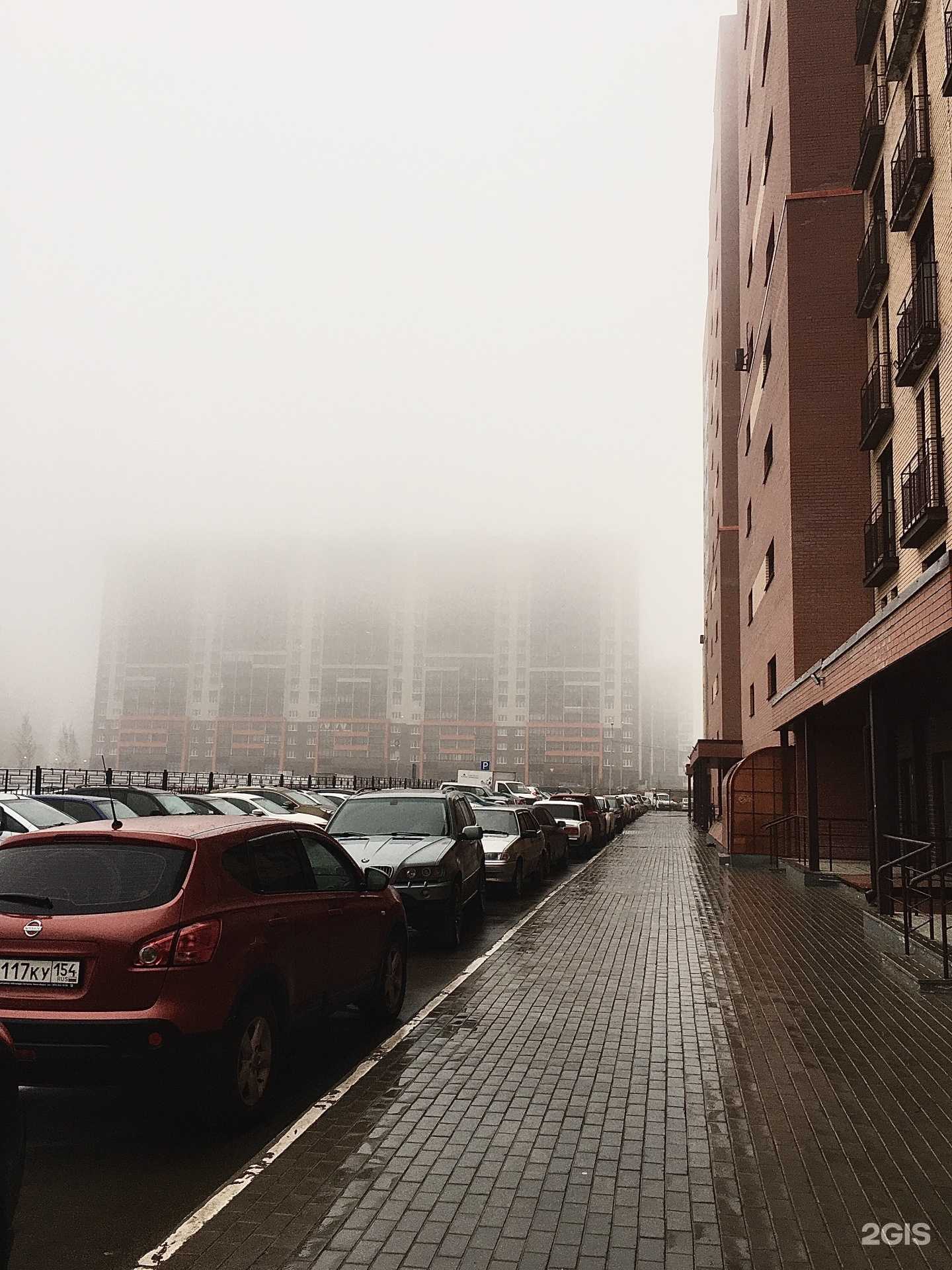 Отзывы на компанию Al`mita в Новосибирске c фото - фотография 2 из 2