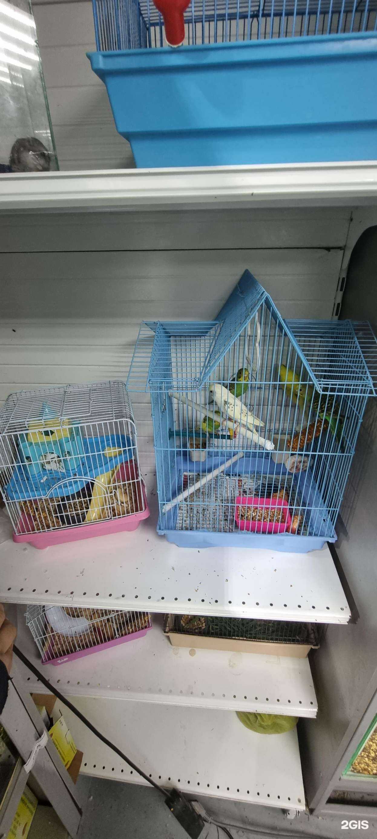 Отзывы на компанию Веселый кот в г. Бийск c фото