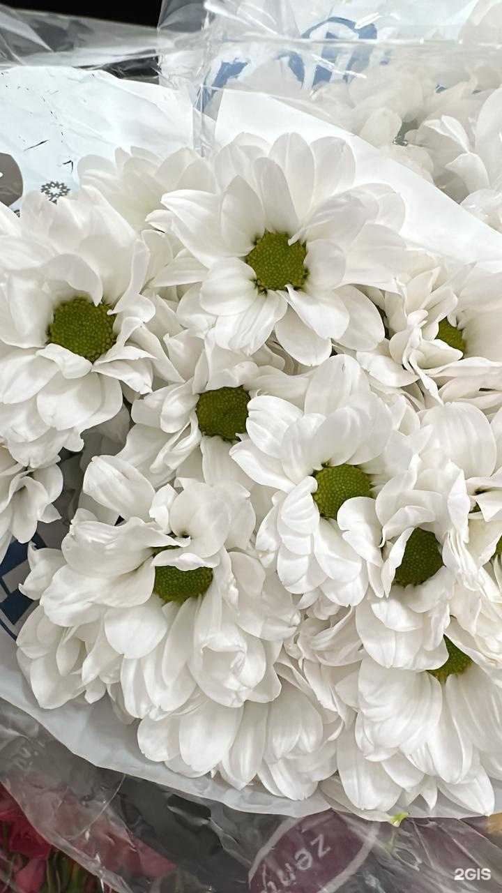 Отзывы на компанию Подсолнух  в г. Находка c фото