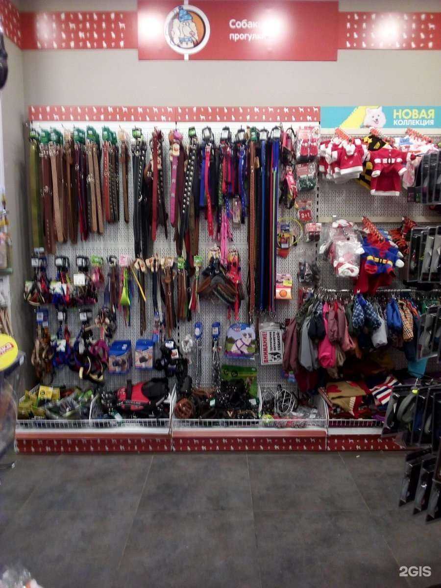 Отзывы на компанию Четыре лапы в г. Рязань c фото