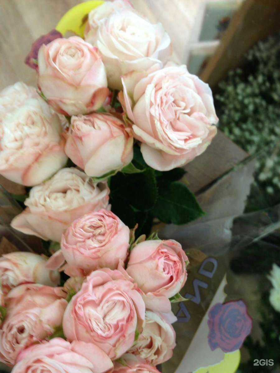 Отзывы на компанию Цветы12 в г. Йошкар-Ола c фото