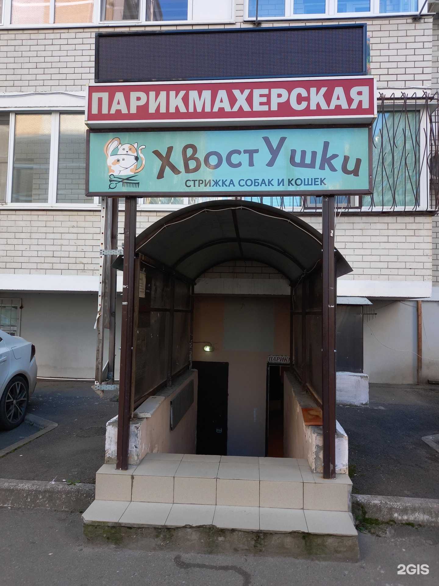 Отзывы на компанию Хвостушки в г. Краснодар c фото