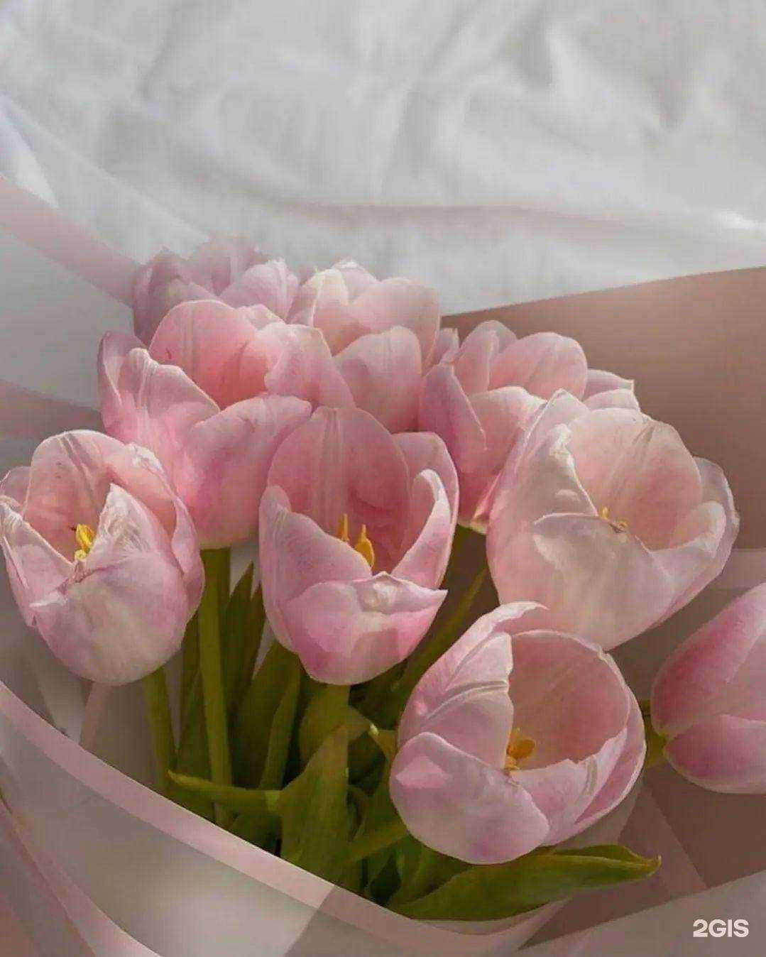 Отзывы на компанию Krapiva в Владимире c фото